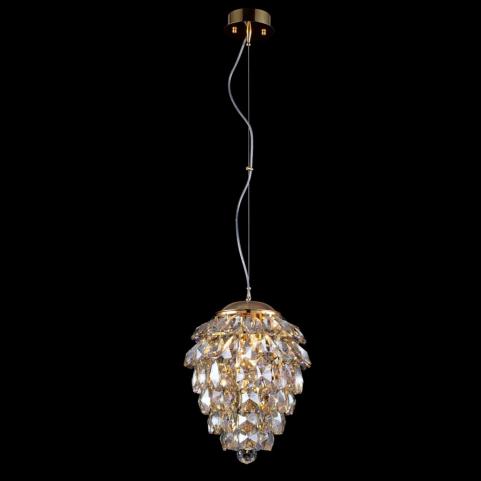 Charme Gold/Transparent