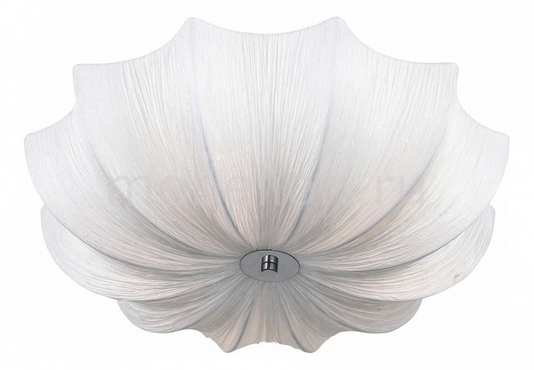 Fiore