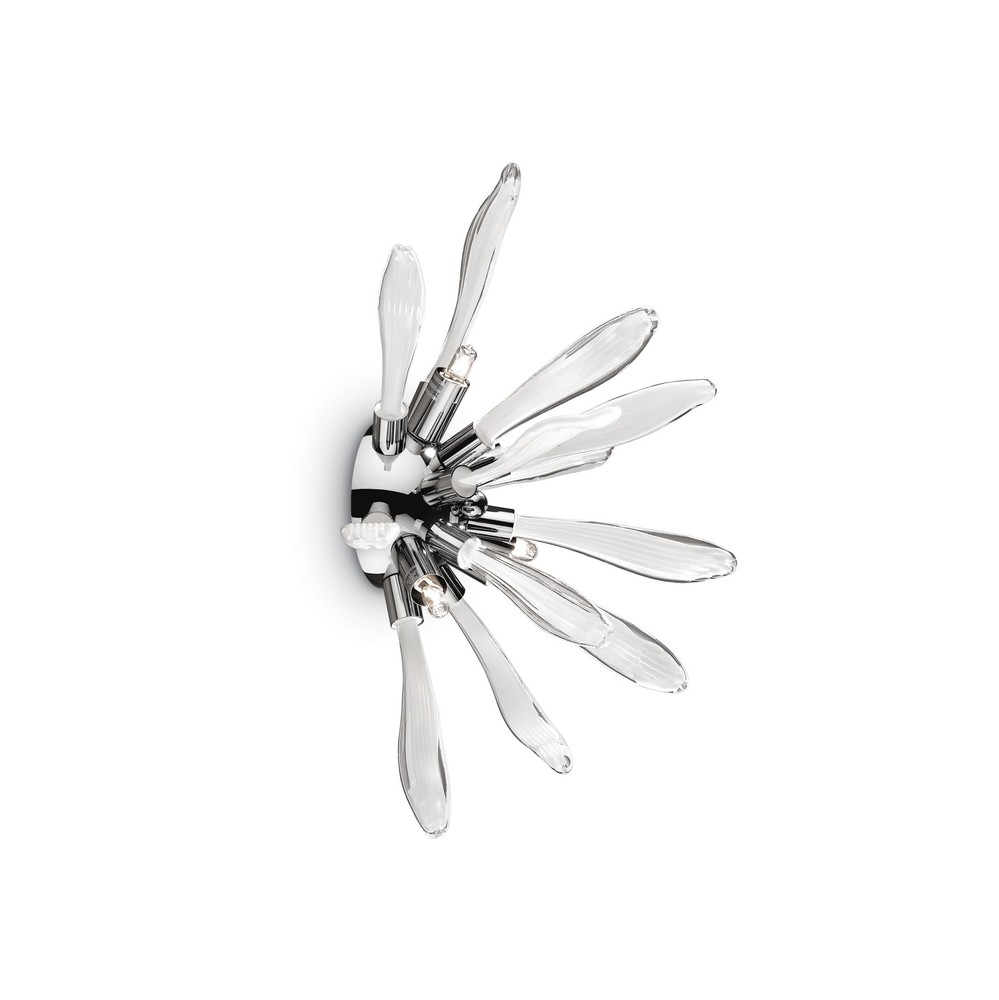 Corallo